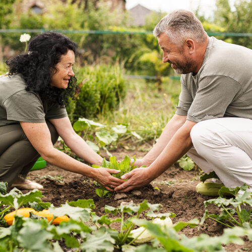 Jardins partagés intergénérationnels 🌱